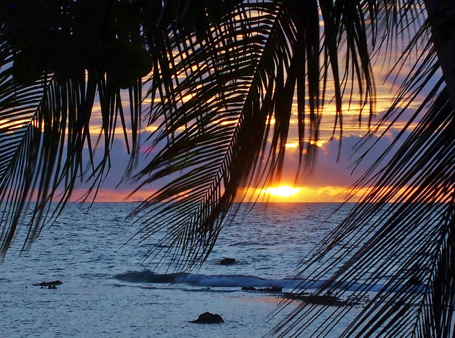 陸の楽しみと、海の楽しみ
