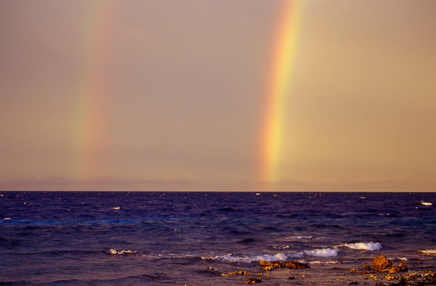 陸の楽しみと、海の楽しみ
