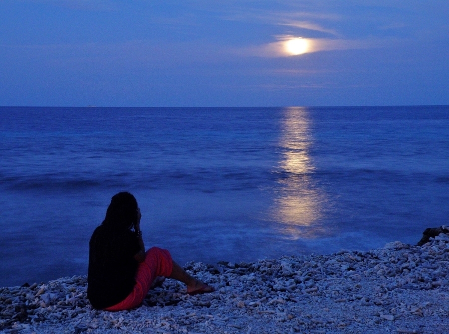 陸の楽しみと、海の楽しみ