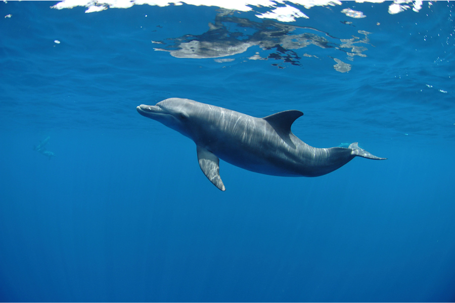 陸の楽しみと、海の楽しみ