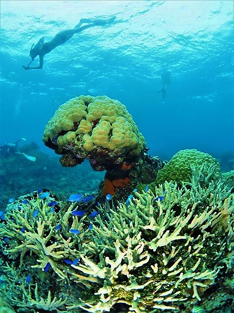 陸の楽しみと、海の楽しみ