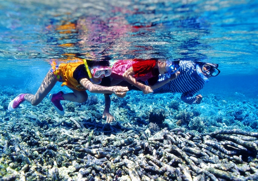 陸の楽しみと、海の楽しみ