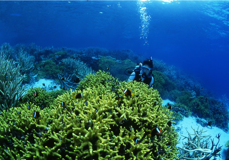 陸の楽しみと、海の楽しみ