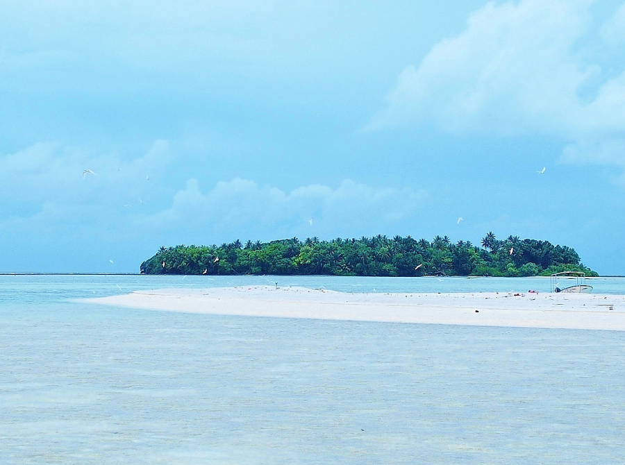 陸の楽しみと、海の楽しみ