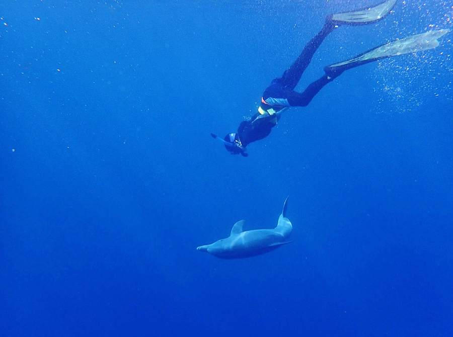 陸の楽しみと、海の楽しみ
