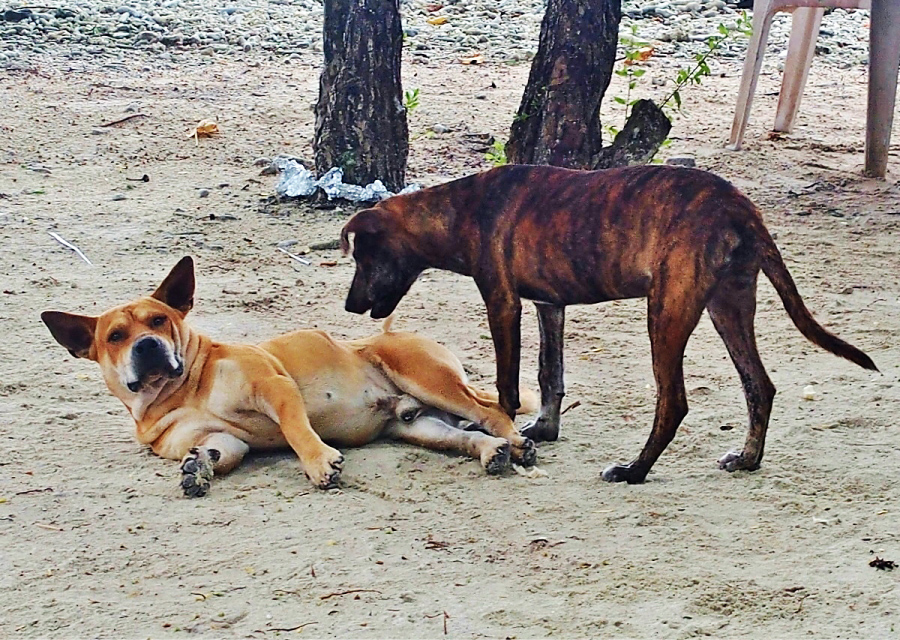 泊まる楽しみと、食べる楽しみ